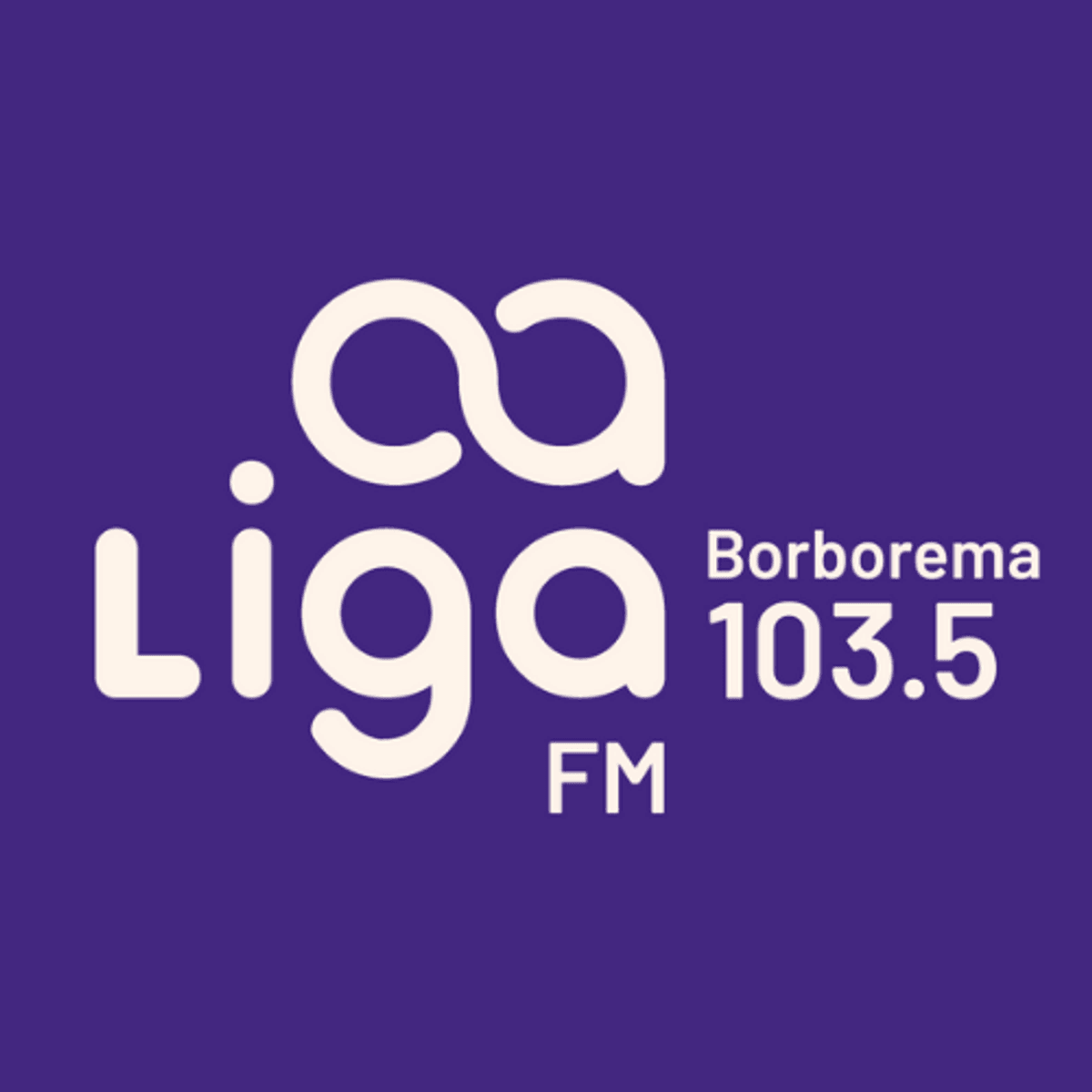 Logo Liga FM Borborema