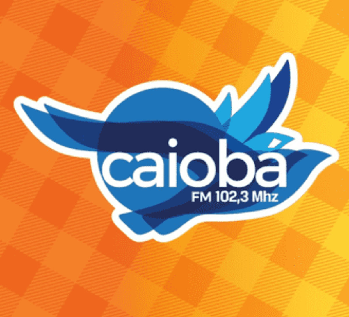 Caiobá FM passa a contar com Cadu Alves como voz-padrão de sua plástica artística