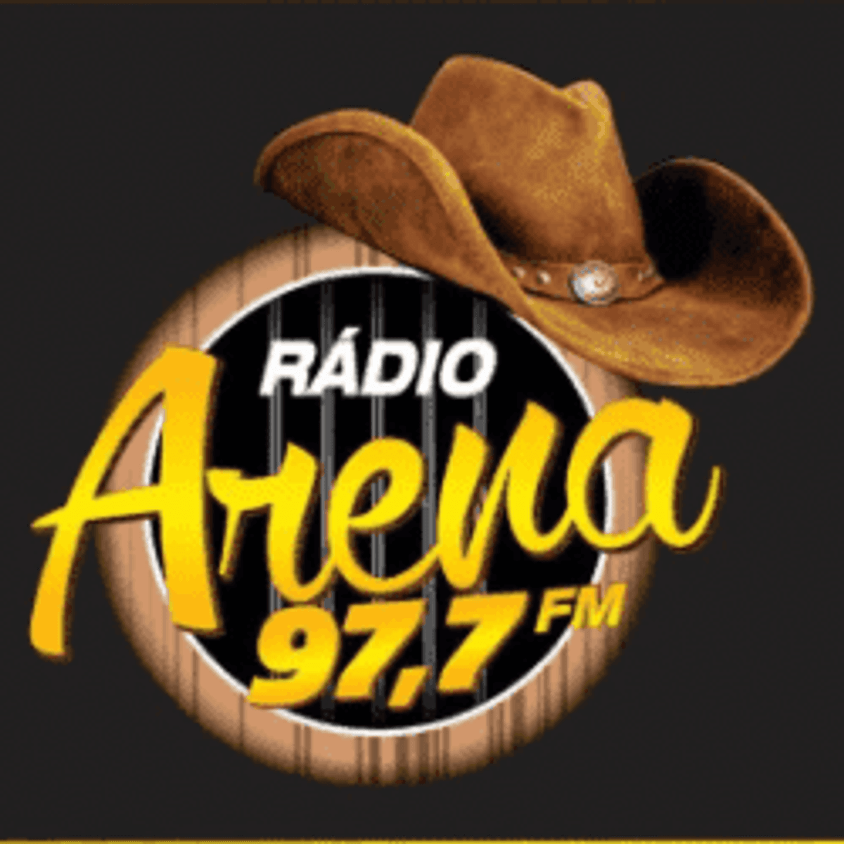Logo Arena FM