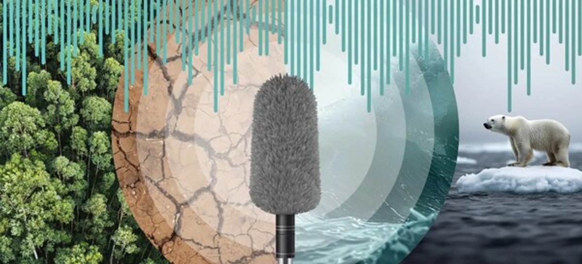 Rádio Bandeirantes e Band FM celebram o Dia Mundial do Rádio com transmissão ao vivo na capital paulista