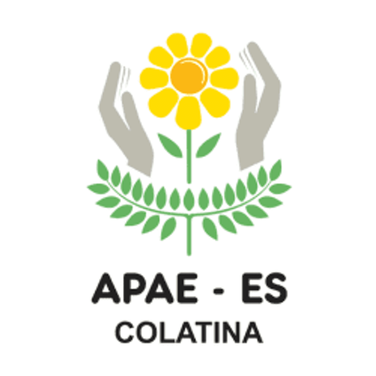 Logo Rádio APAE FM