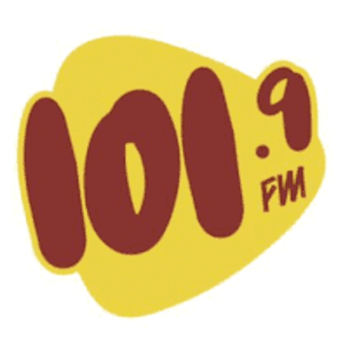 Logo 101.9 FM