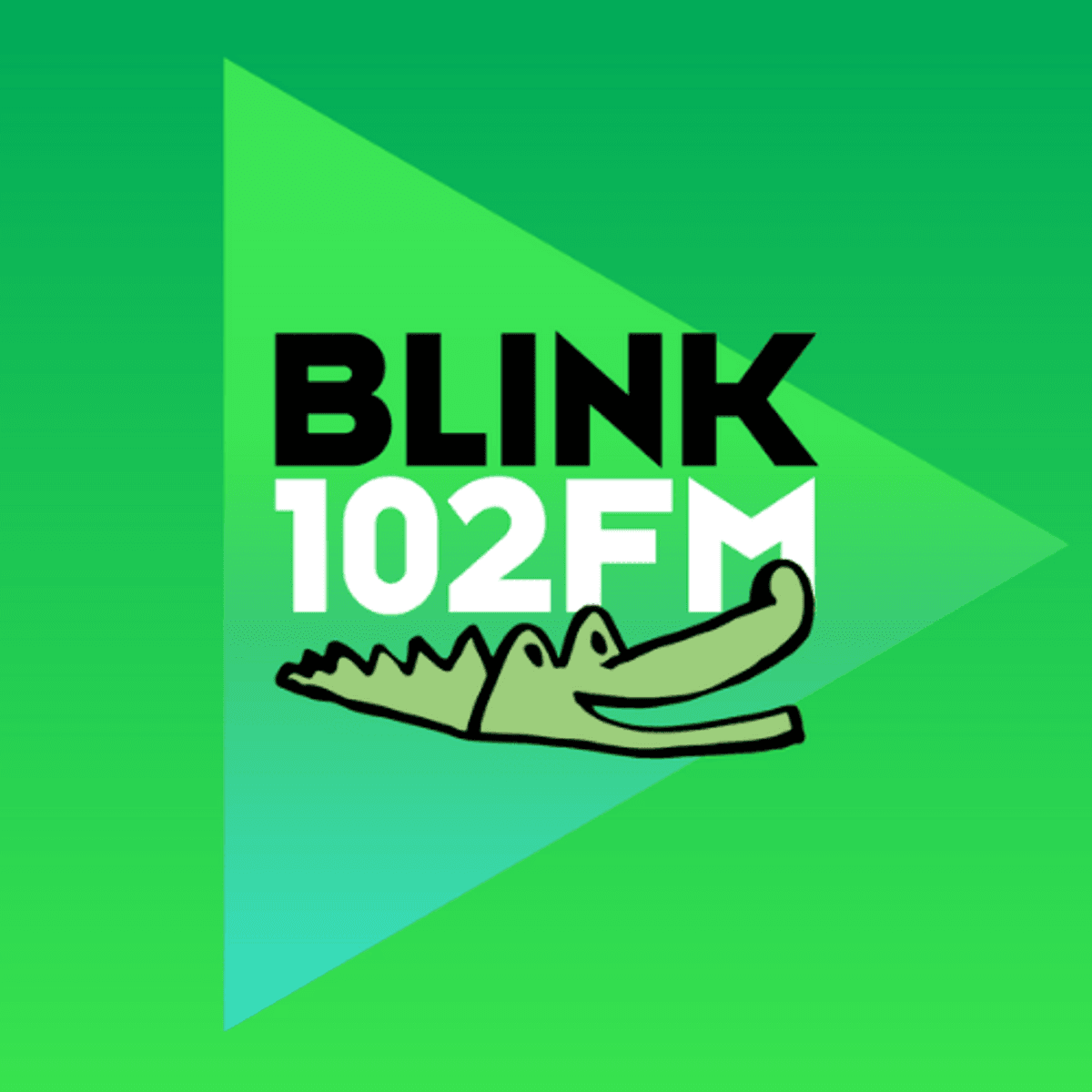 Logo Blink 102 FM
