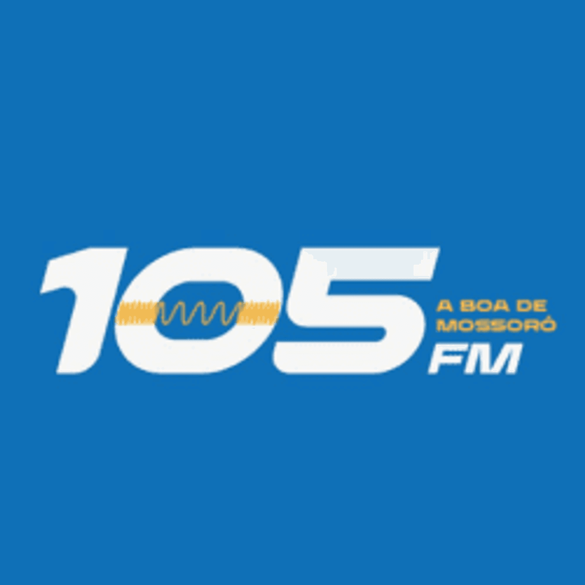 Logo 105 FM