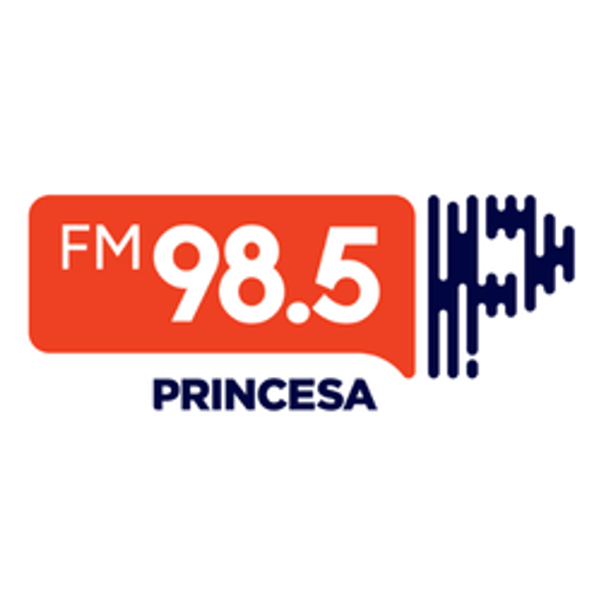 Logo Rádio Princesa FM