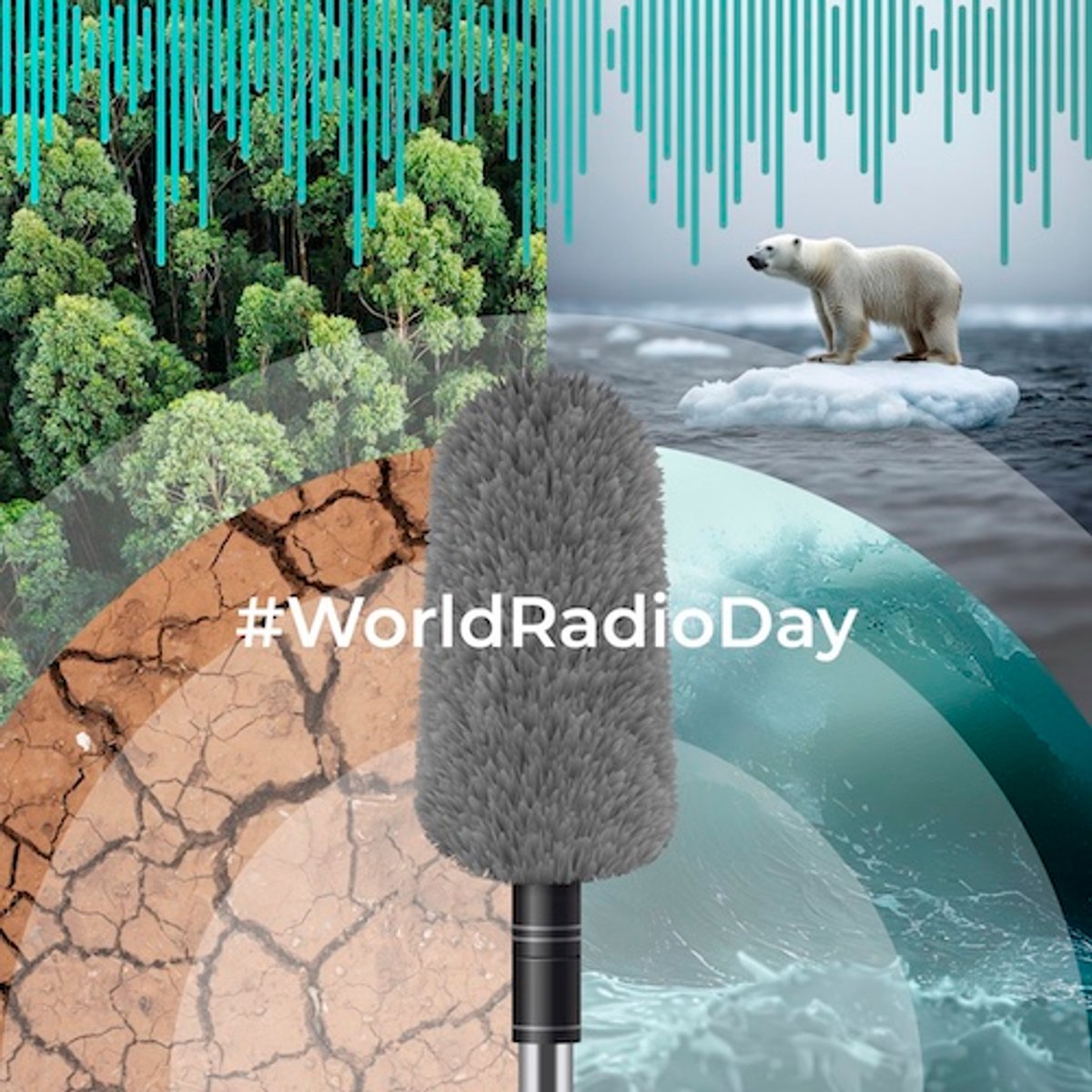 Dia Mundial do Rádio é celebrado hoje (13); meio se reinventa e mantém alta relevância no consumo