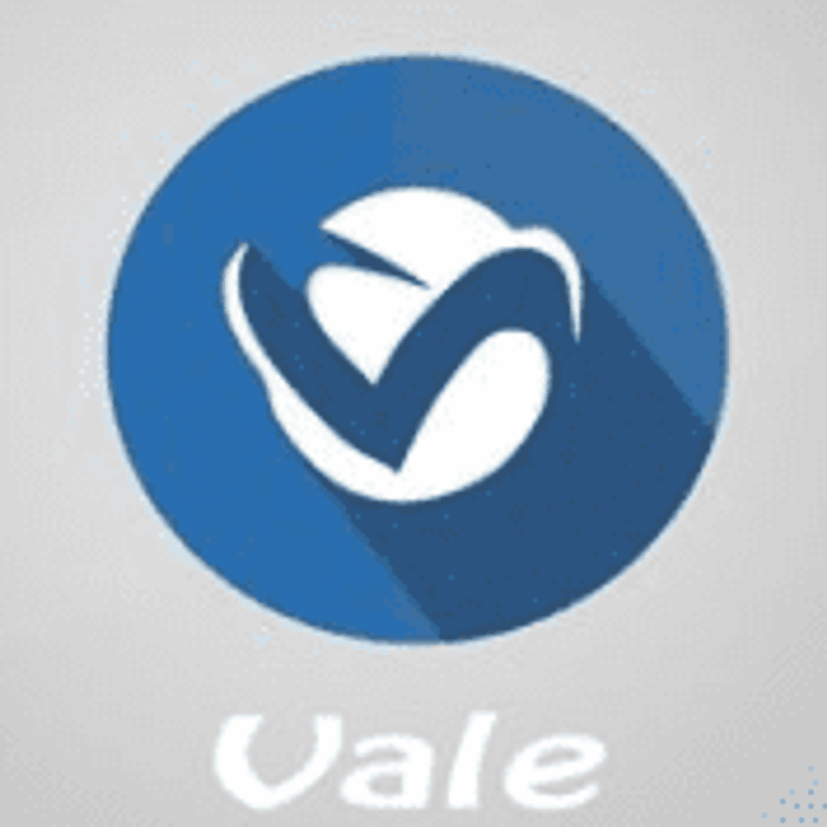 Logo Rádio Vale FM
