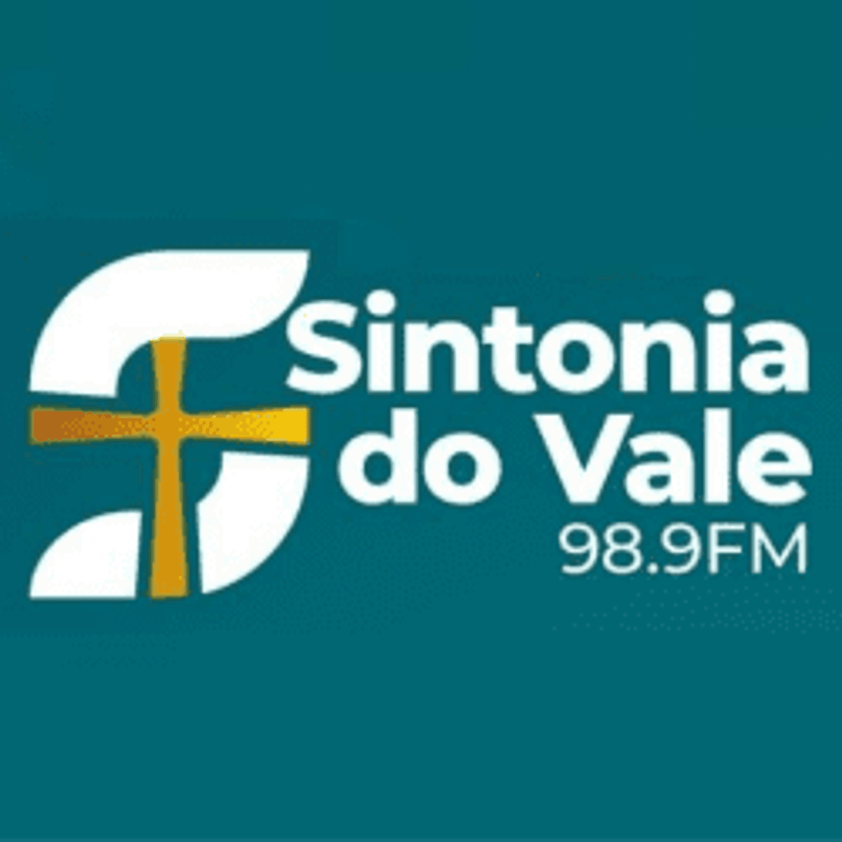 Logo Sintonia do Vale FM