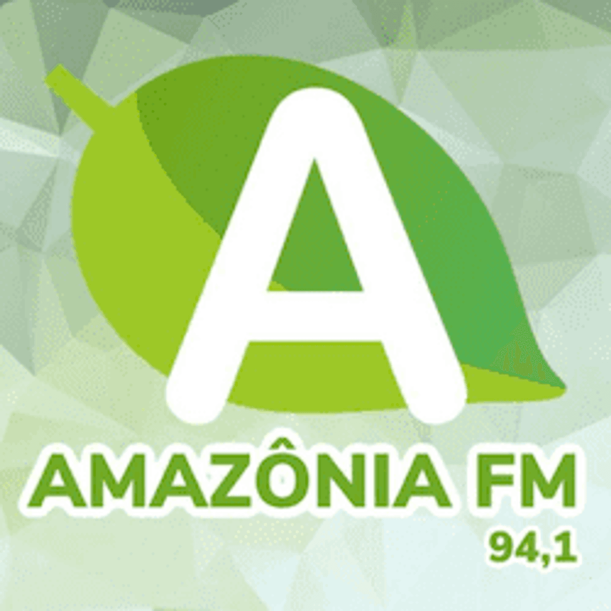 Logo 94.1 FM