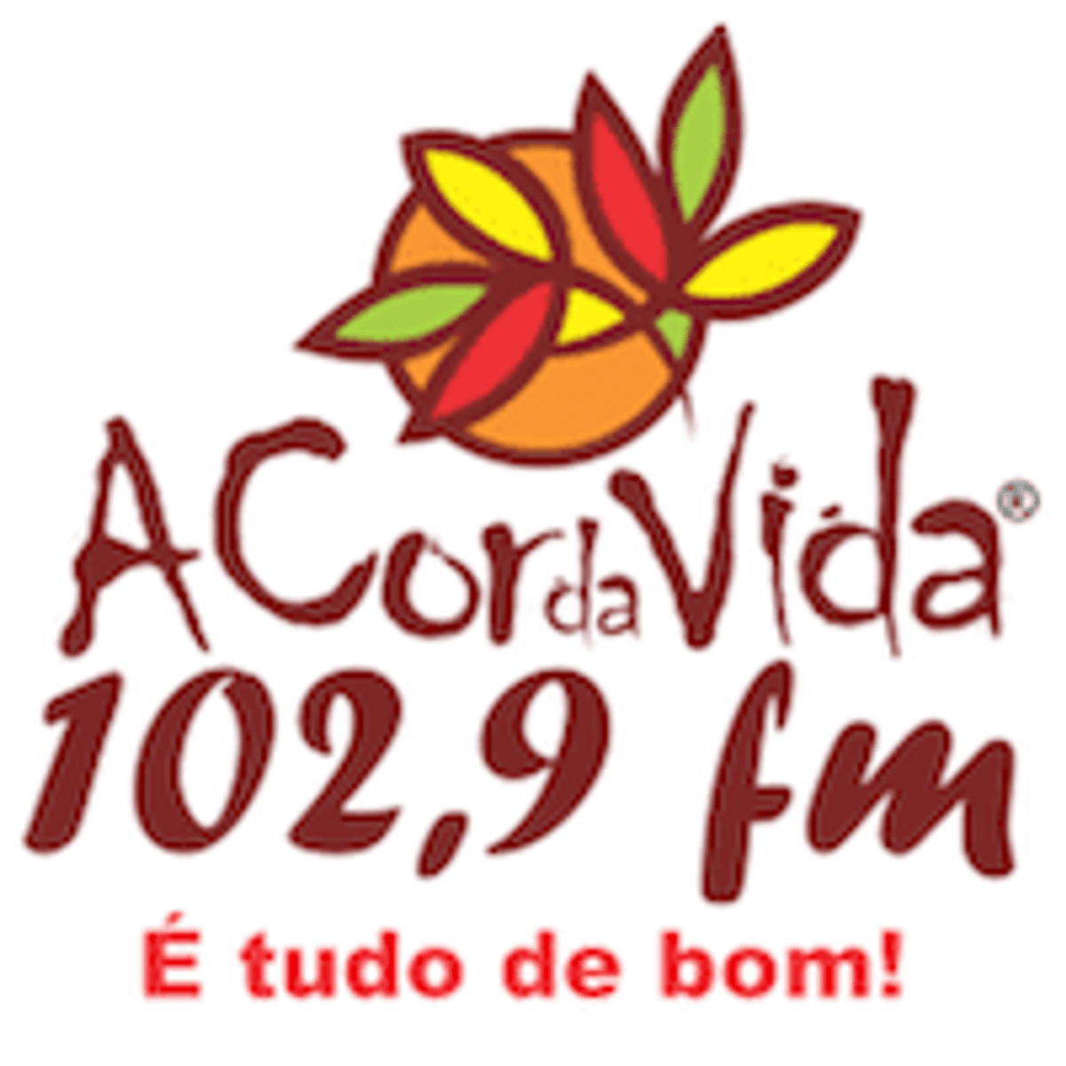 Logo A Cor da Vida FM