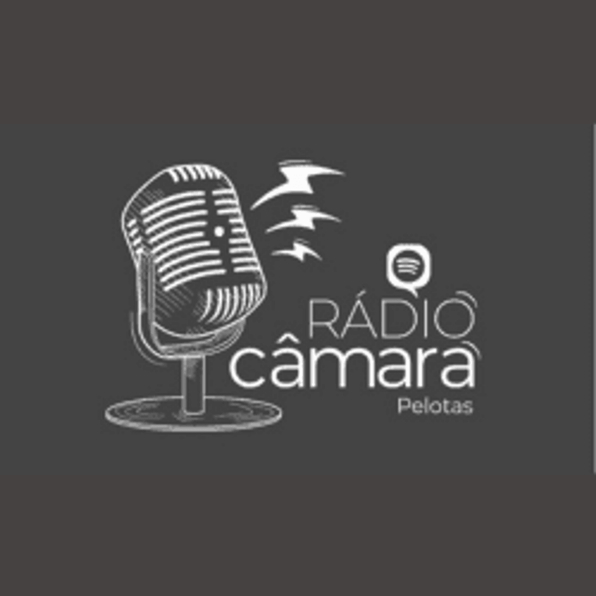 Rádio Câmara FM inicia operação em caráter experimental a partir de Pelotas (RS)