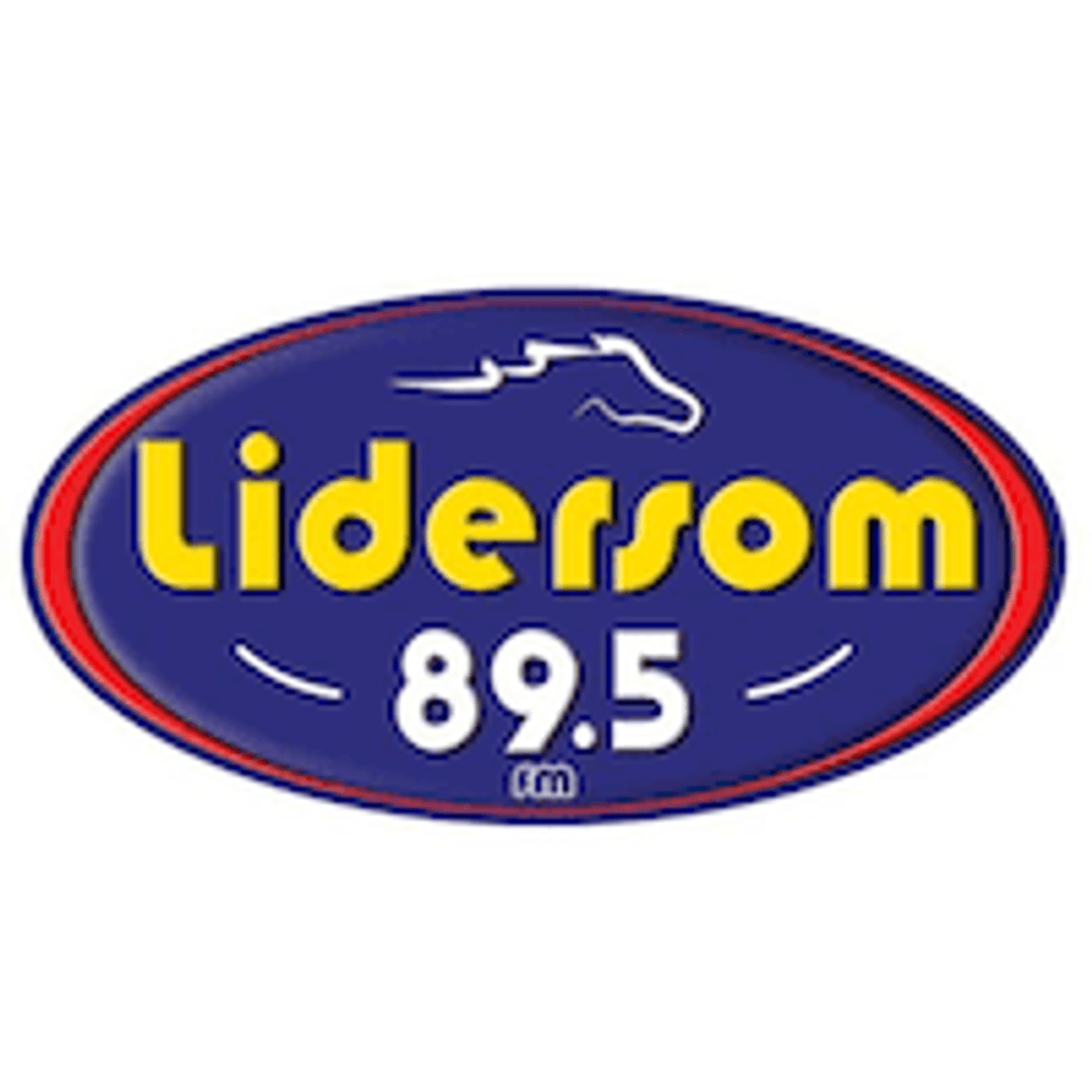 Logo Lidersom FM
