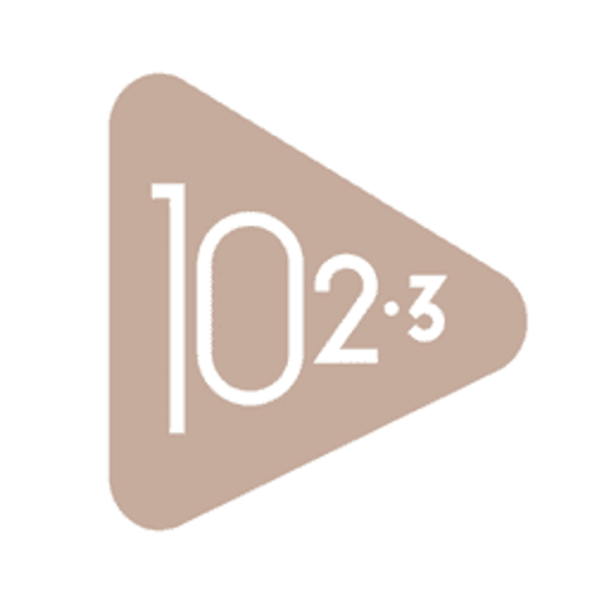 Logo 102.3 FM