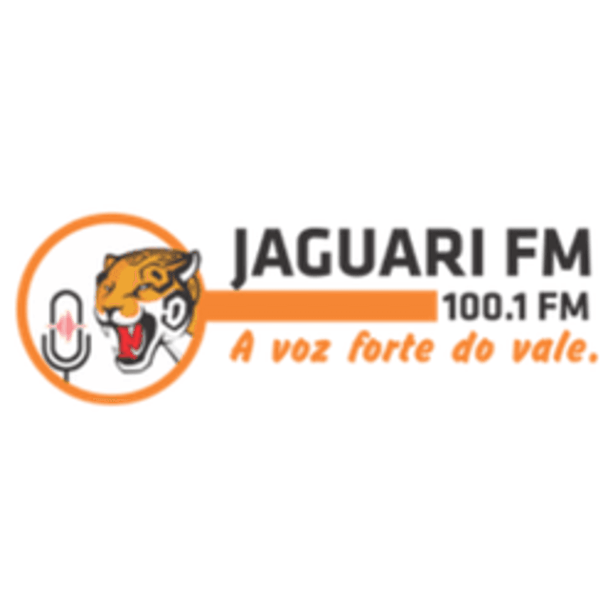 Logo Rádio Jaguari FM