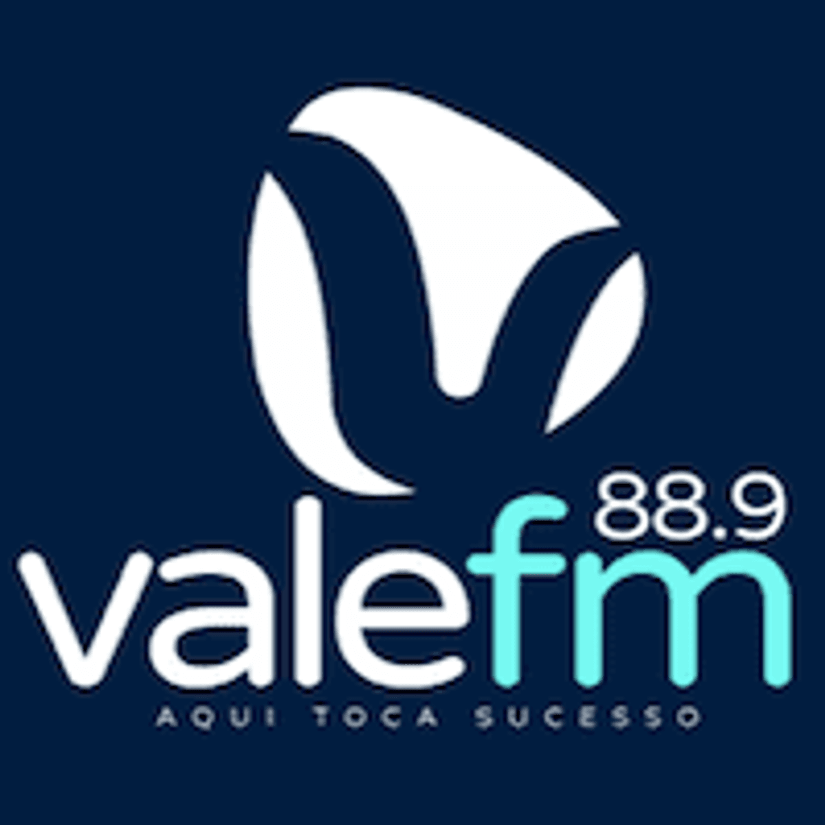 Logo Vale FM