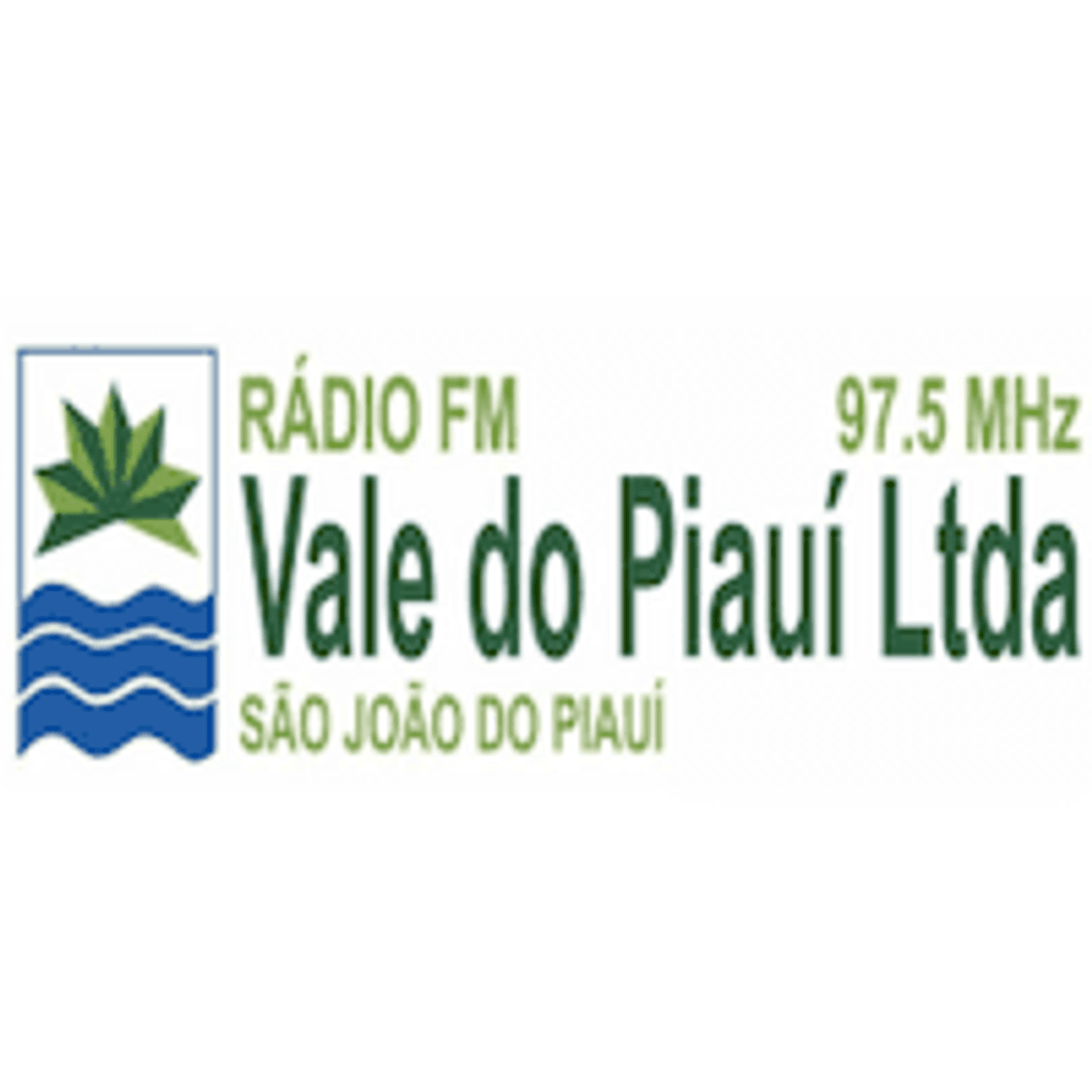 Logo Vale FM