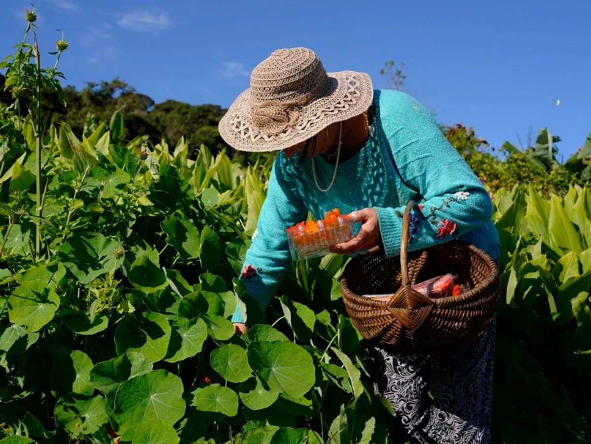 Rádio Gazeta estreia programa voltado ao agronegócio capixaba