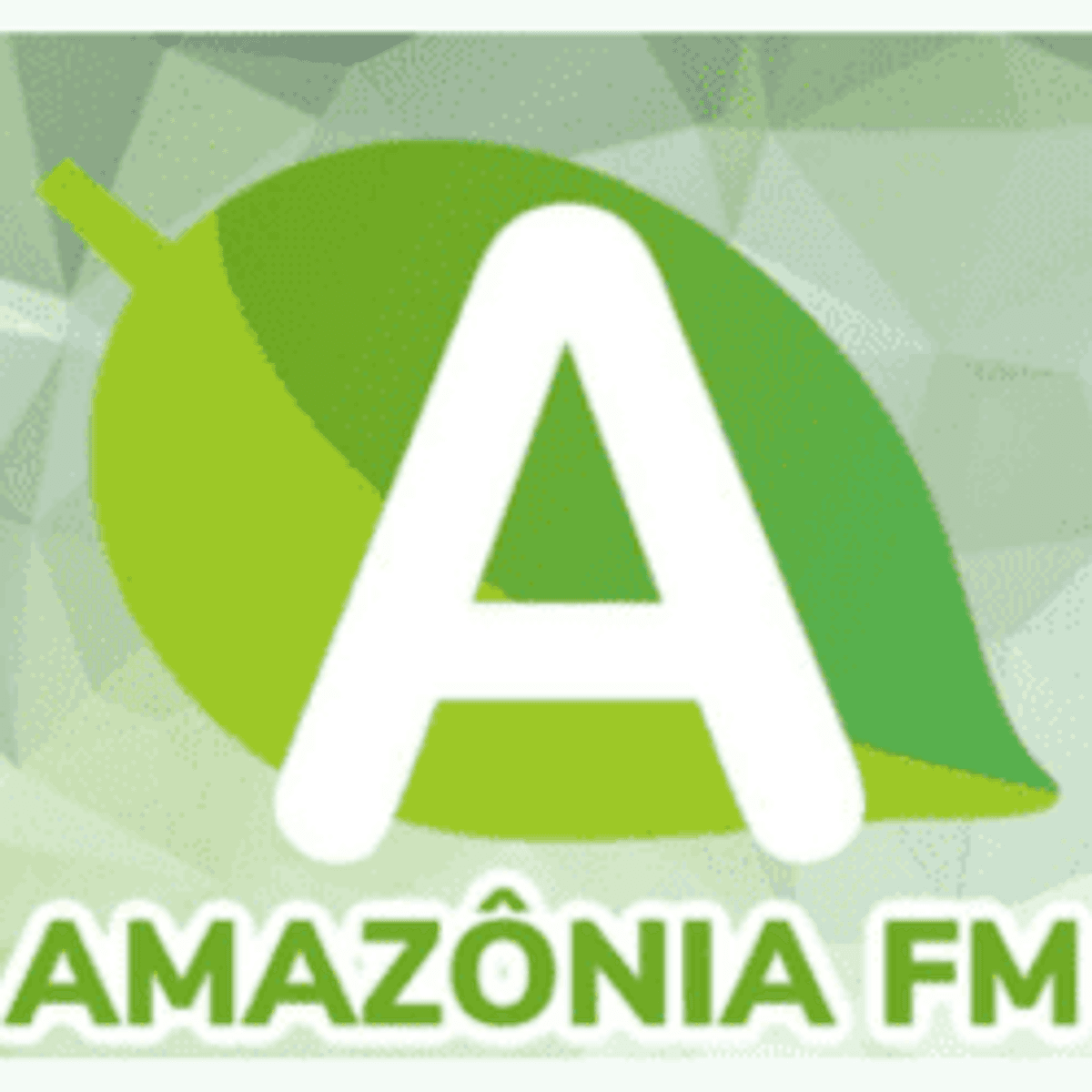 Logo Amazônia FM