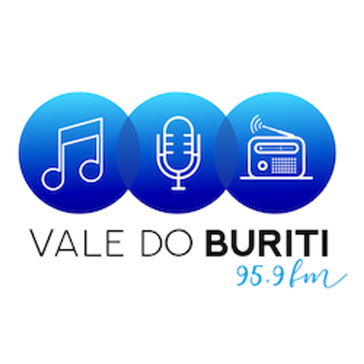 Logo Vale do Buriti FM