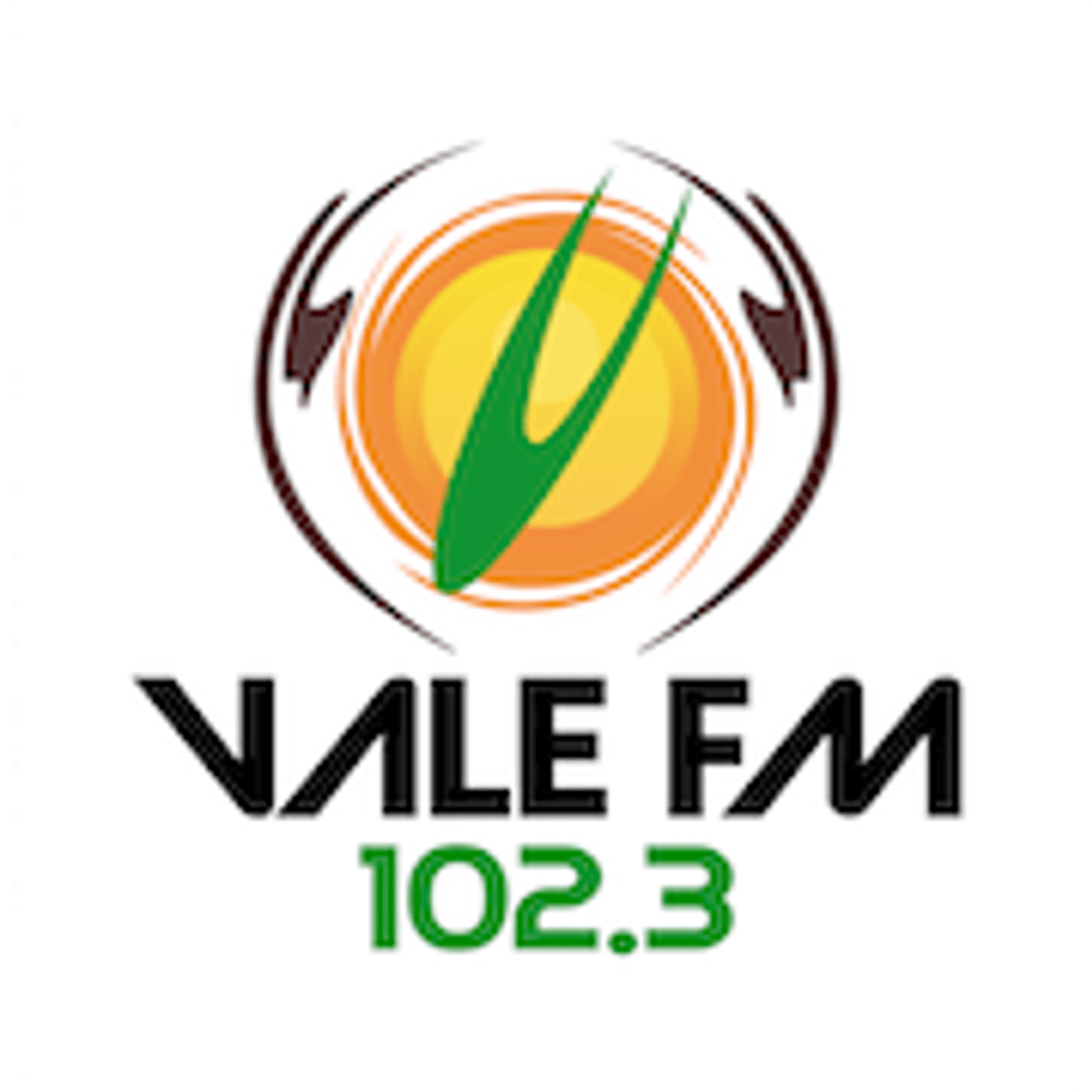Logo Vale FM