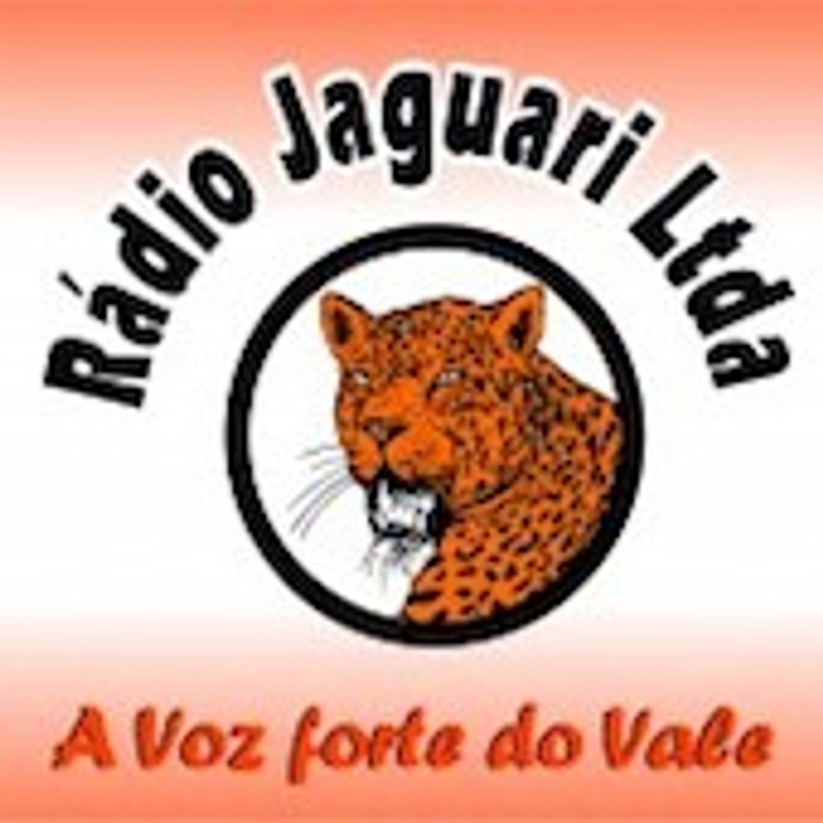 Logo Rádio Jaguari FM
