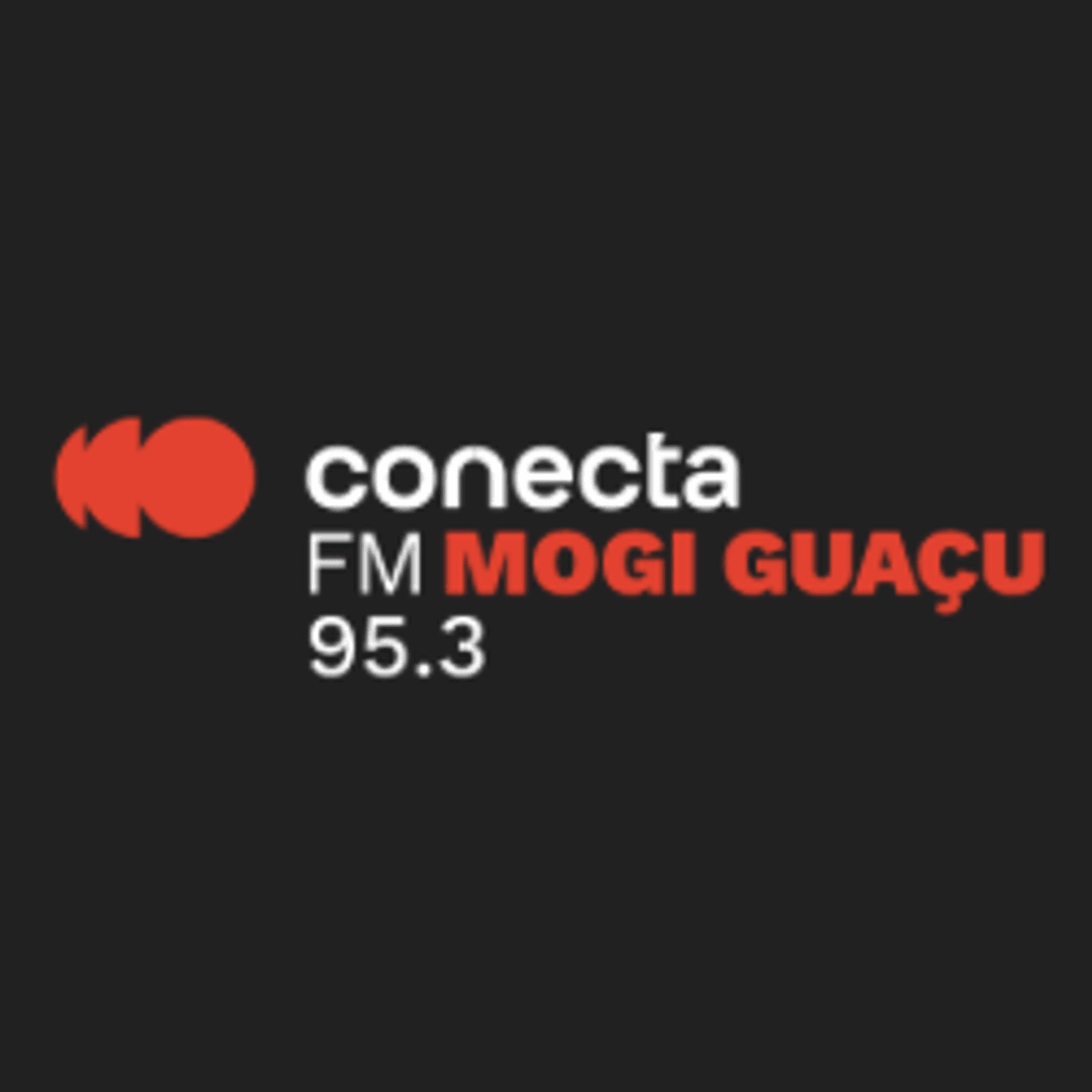 Logo Conecta FM
