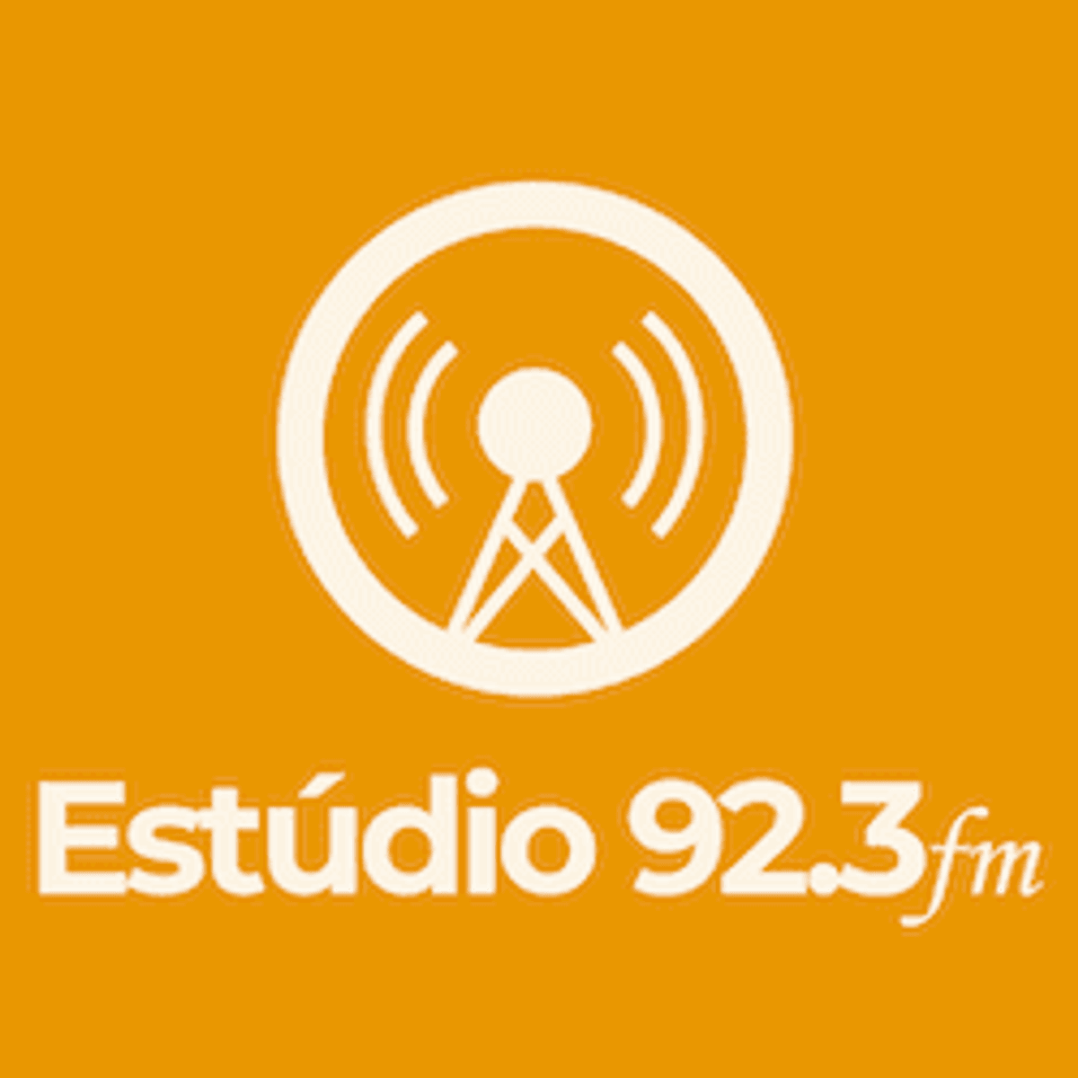 Logo Estúdio 92 FM