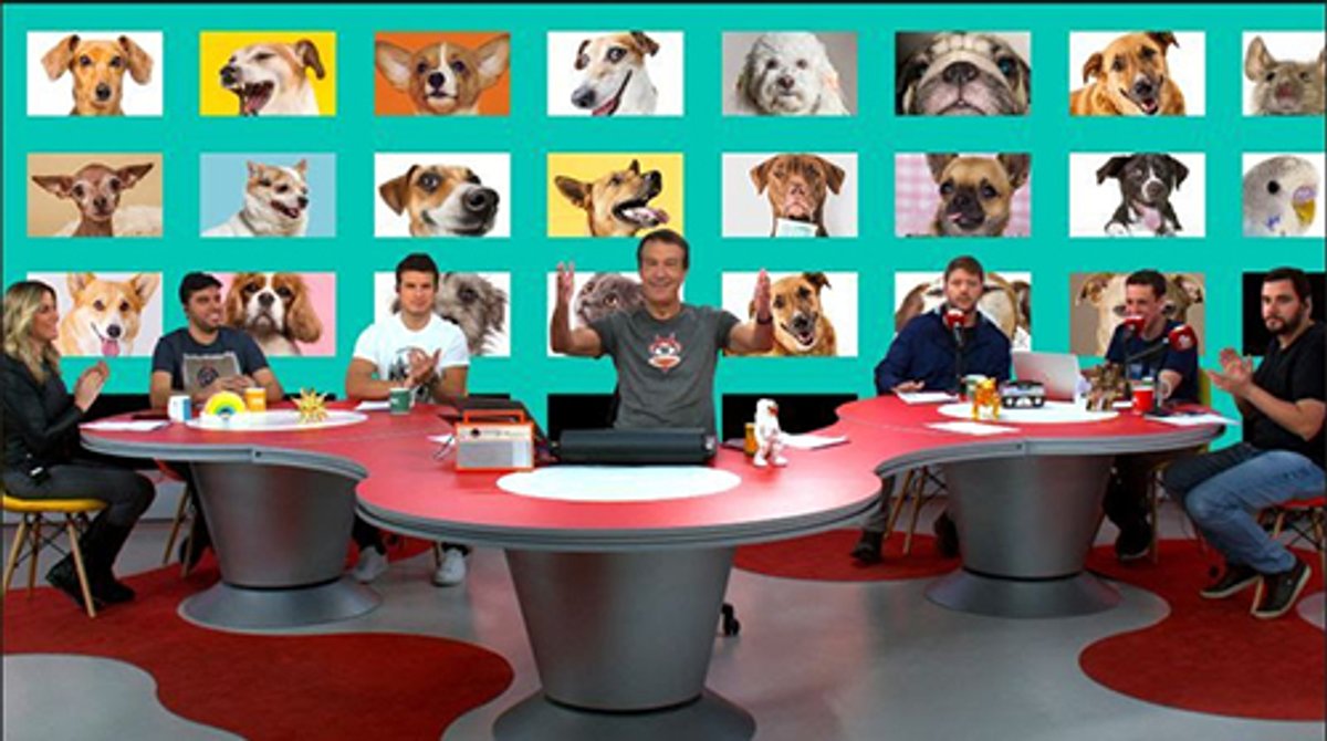 Jovem Pan FM lança ação inédita com 20 animais domésticos que irão substituir plateia virtual no Programa Pânico