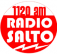 Radio Salto AM